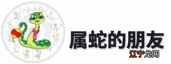 香港七星堂:生肖蛇福字宫的整年运势及运势