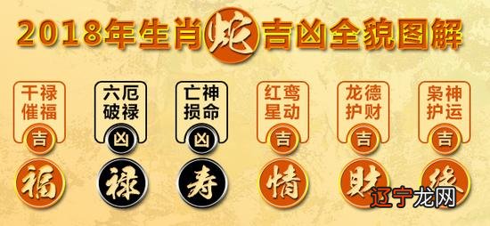 香港七星堂:生肖蛇福字宫的整年运势及运势