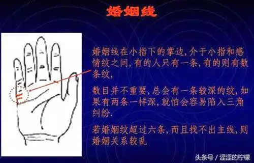 扫描手掌纹算命,手相测试扫一扫