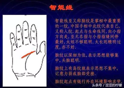 扫描手掌纹算命,手相测试扫一扫