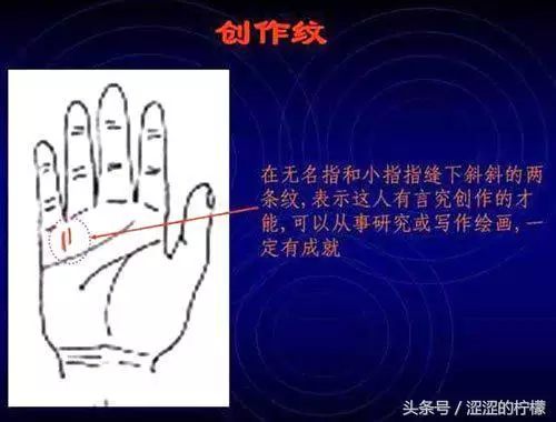 扫描手掌纹算命,手相测试扫一扫