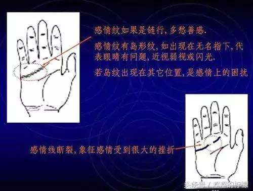 扫描手掌纹算命,手相测试扫一扫