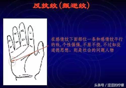 扫描手掌纹算命,手相测试扫一扫