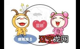 星座爱情配对
