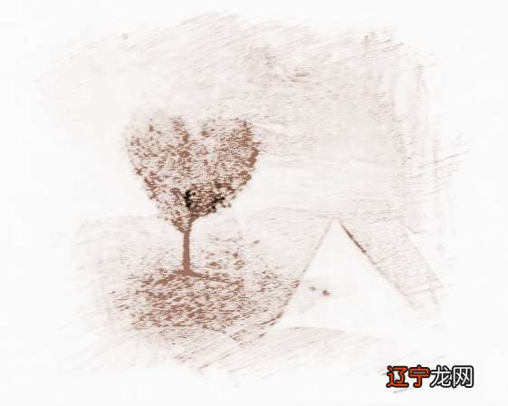 想学八字却不知道看什么书八字书籍学习顺序!