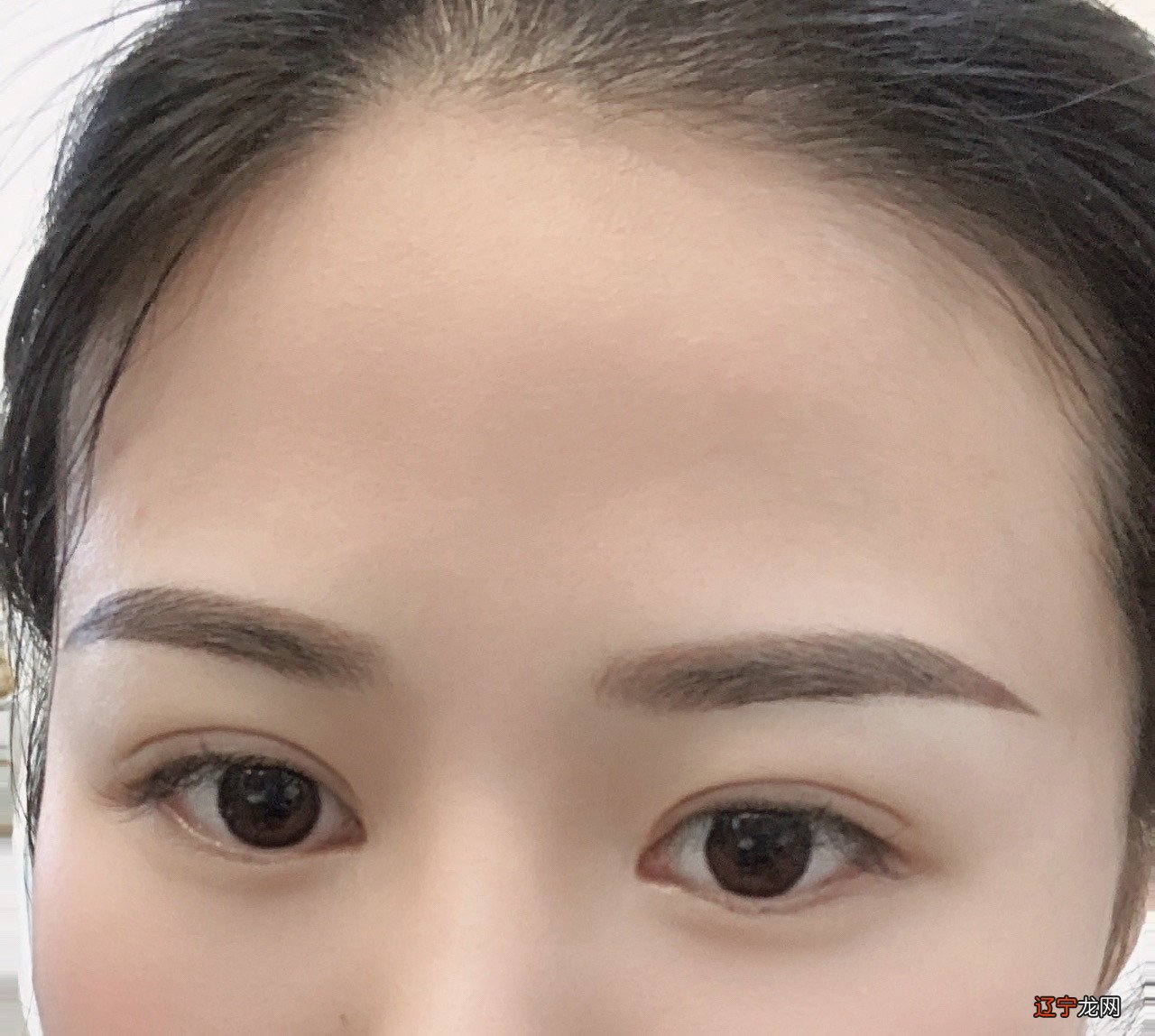 金骏眉银骏眉_金骏眉银骏眉铜骏眉_高低眉