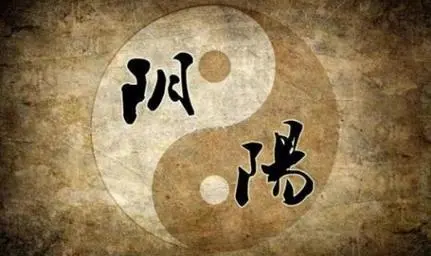 鬼吹灯中《十六字阴阳风水秘术》为什么只剩半本?