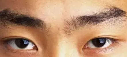 1、眉毛不正的人运势:眉毛看相：从眉毛怎么看出人的一生运势