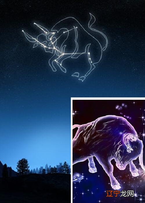 金牛座土象星座_水象和土象 豆瓣_风象火象水象土象相配