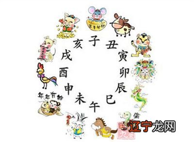 国外也有十二生肖,越南竟然还有猫