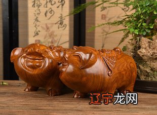 罗李华:生肖属猪2021年运势及运程大全破解方法