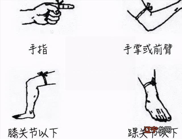 周公解梦 梦见抓蛇