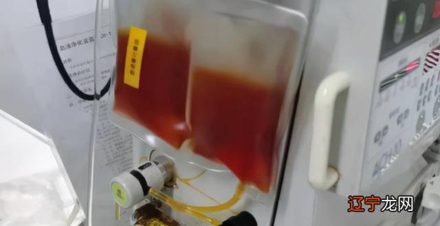 周公解梦 梦见抓蛇