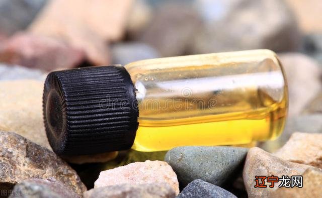 周公解梦 梦见抓蛇