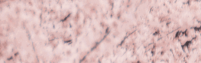 为什么懂《易经》的女人更好命？这是我听过最好的答案