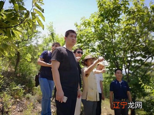 八字培训班开课7月22日,第98期风水学习班开课