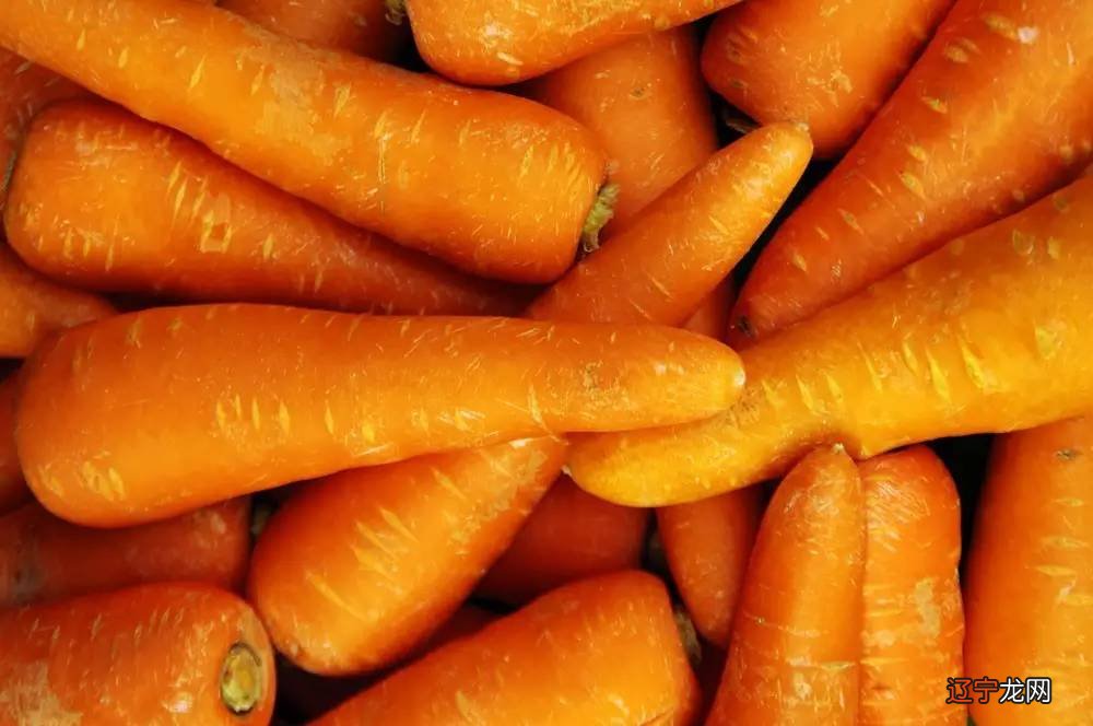 2020立冬吃什么蔬菜 十大立冬时节养生必选食物