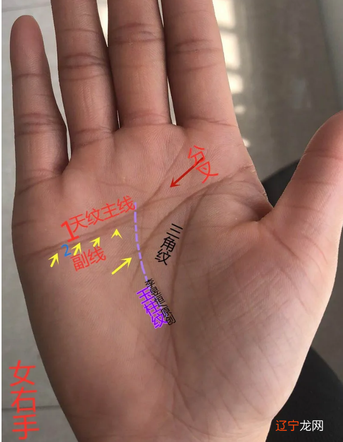 看手相算命准不准与男人女人没关,关键是谁来看