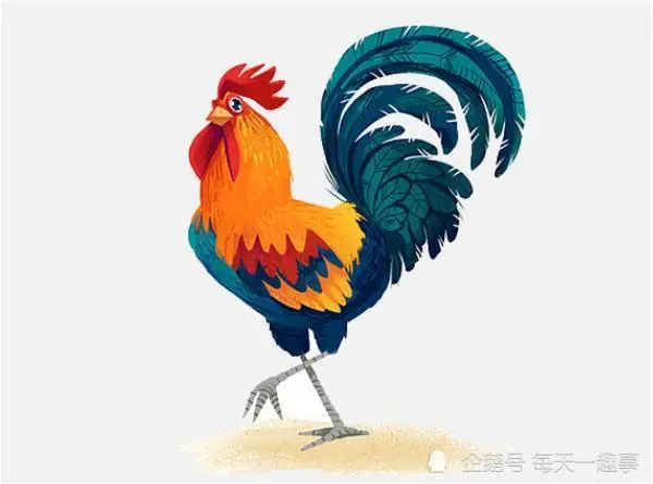 属鸡的今年多大2019 整体运势解析