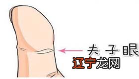 手相有夫子眼怎么回事 有何寓意