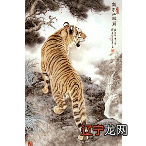 属虎的男孩取什么名字好,你知道吗?