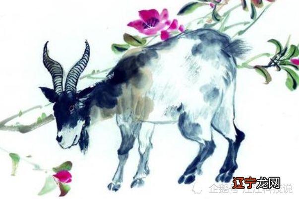 属鸡人出生月的命运_属羊出生时间与命运_属龙人出生月的命运