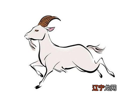 03年羊几月出生命好