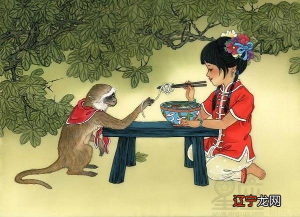 属猴的属相婚配表,属猴与属蛇的最配