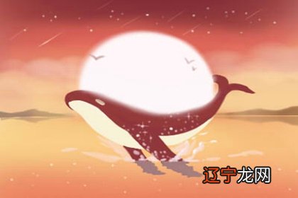 八字怎么看运势好坏_八字看每日运势_八字日柱看2017年运势