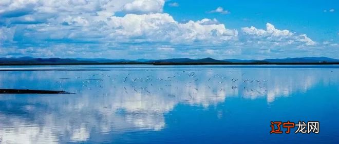 导读本文:道为术之体,术为道之用