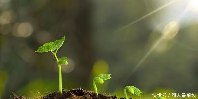 易经:你很努力了,还不能如愿,那就反求诸己,强大势能