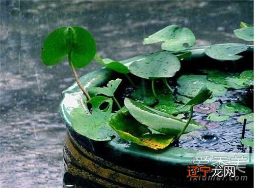 2018年入梅出梅时间什么时候?梅雨季节持续多久?