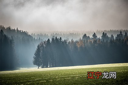 属狗的什么时候出生好 最吉利的出生日期