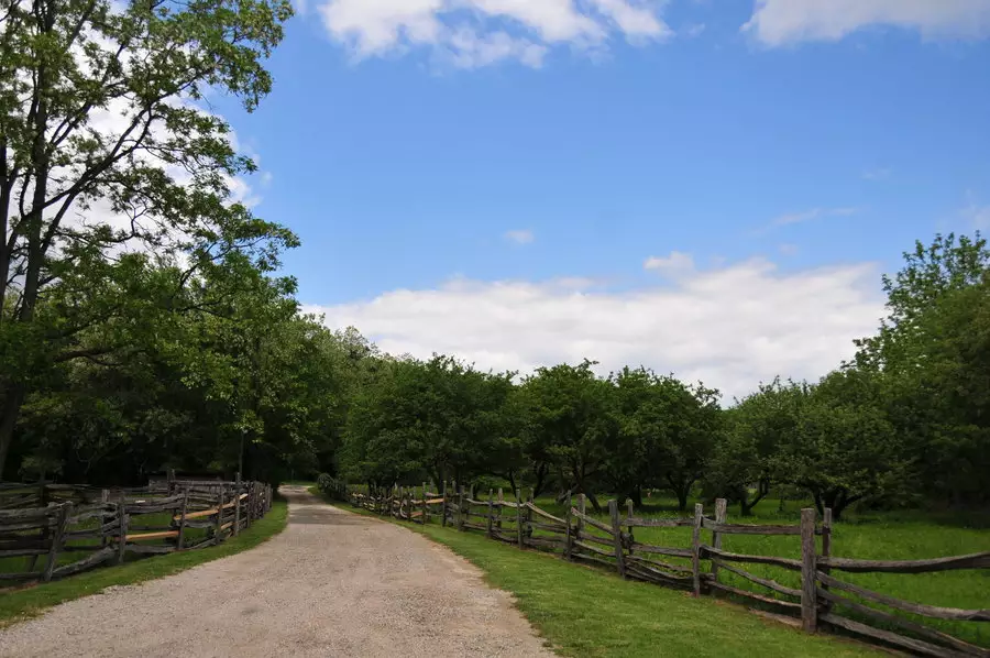 你一生会有几段婚姻免费测试,免费测一生有几次婚姻?