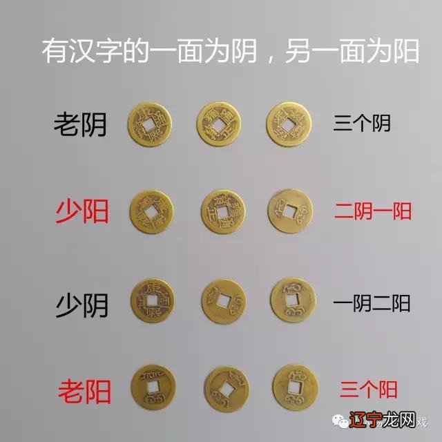 手把手教你六爻占卜,小白到大鸟的进阶之路