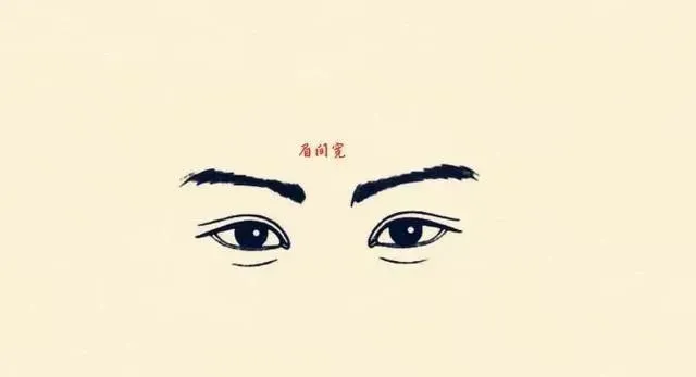 风水堂:女人眉间距比较宽的相术学