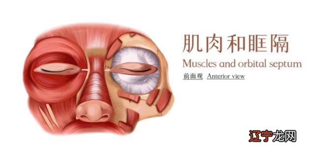 左眼皮跳跳，疾病要来到！谁说左跳福，右跳灾 有可能是病了呢！