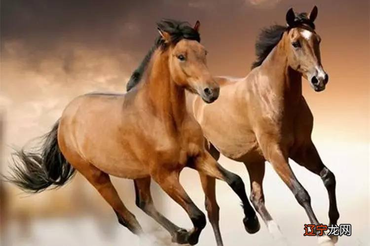 属马的人喜神方位在哪个方向