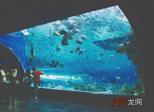 心碎的声音:双鱼座是一个心地善良，向往善良的星座