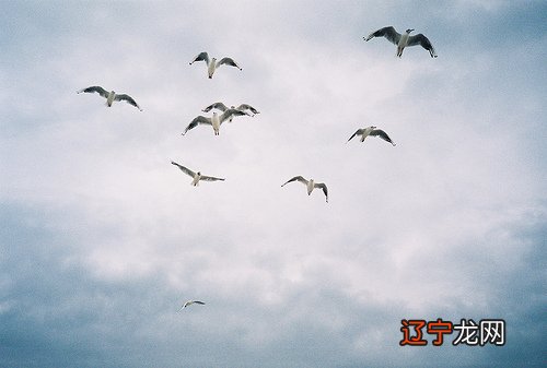 心碎的声音:双鱼座是一个心地善良,向往善良的星座