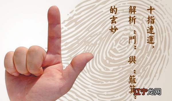 详细分析 指纹算命图解