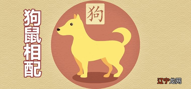 属狗的生肖狗的性格是怎样的吗?的和什么属相