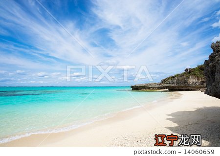 漫长假期/自然的坟墓电影