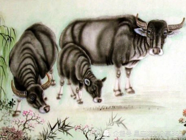 1997年属牛的人是什么命?属牛人的命