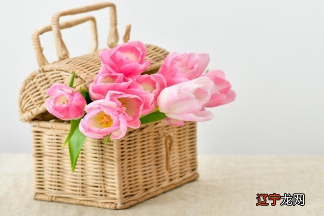 十二星座的学习能力排行榜,谁有“学霸”潜质呢?巨蟹挺有悟性