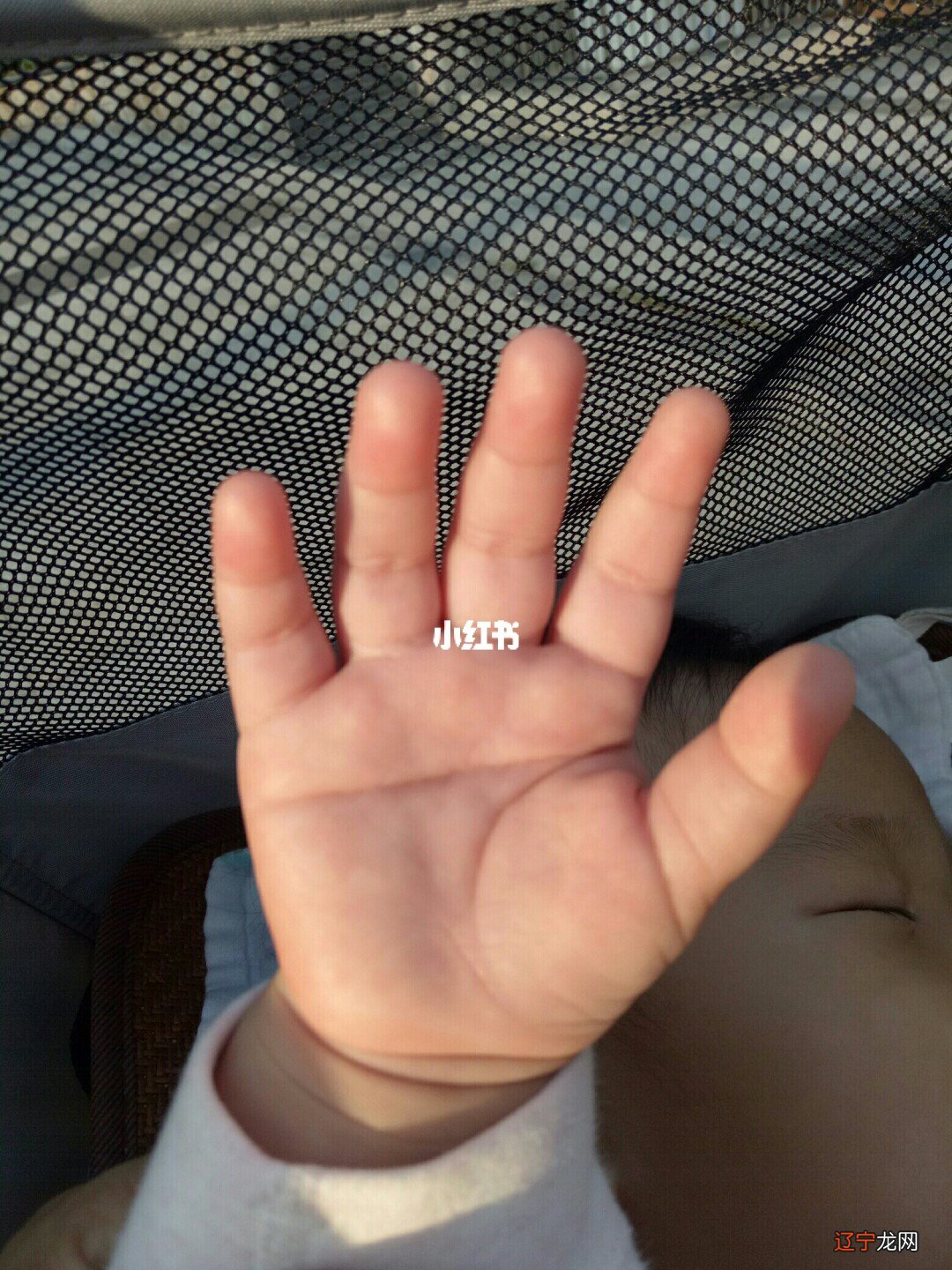 男人右手断掌纹命运_男孩右手断掌纹_右手断掌纹