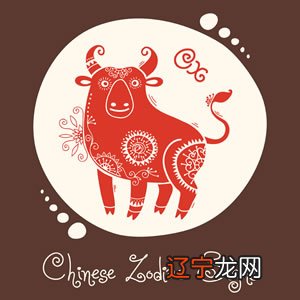 911查询十二生肖属牛的今年多大