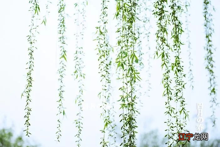 什么是春？春从何时开始？