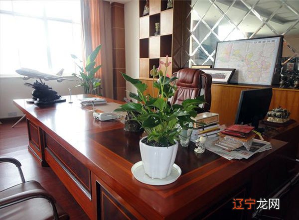 【李向东】办公室风水植物摆放禁忌,你知道吗?
