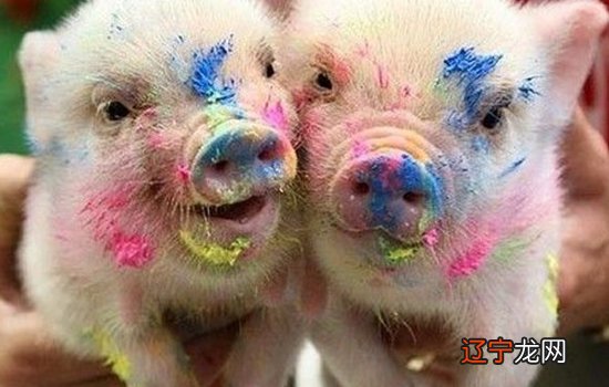 一、梦见小孩被猪吃暗示意思